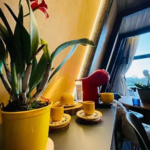 Campismo de Luxo Chale Aconchegante - Consulte Previamente A Disponibilidade, Camboriu